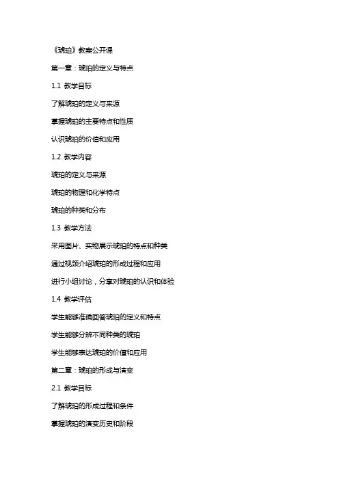 《琥珀》教案公开课