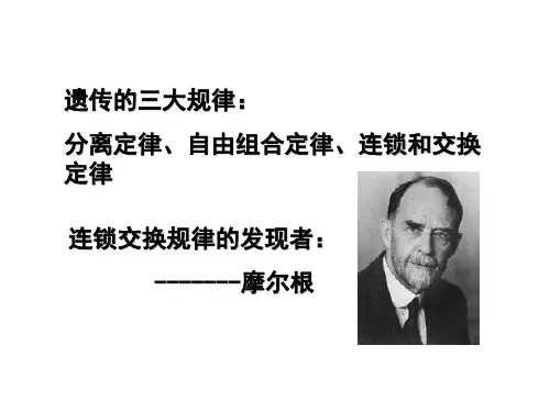 遗传的三大规律分离定律自由组合定律连锁和交换定律ppt课件.ppt