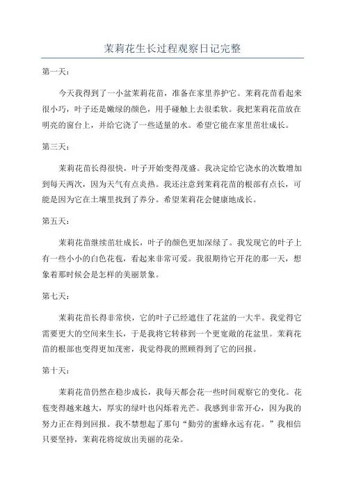茉莉花生长过程观察日记完整