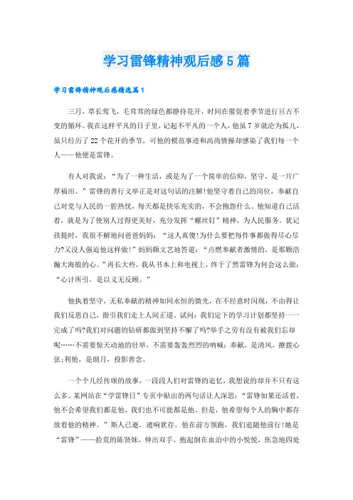 学习雷锋精神观后感5篇