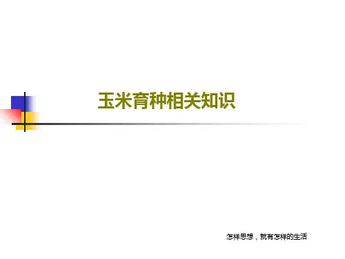 玉米育种相关知识83页PPT