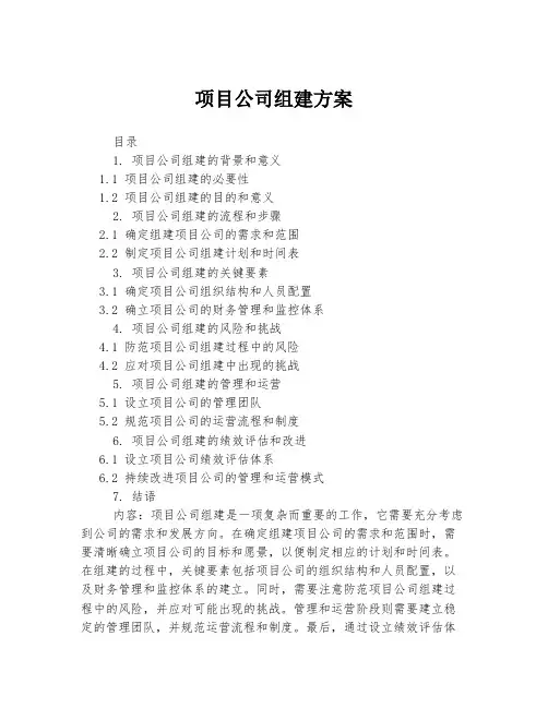 项目公司组建方案