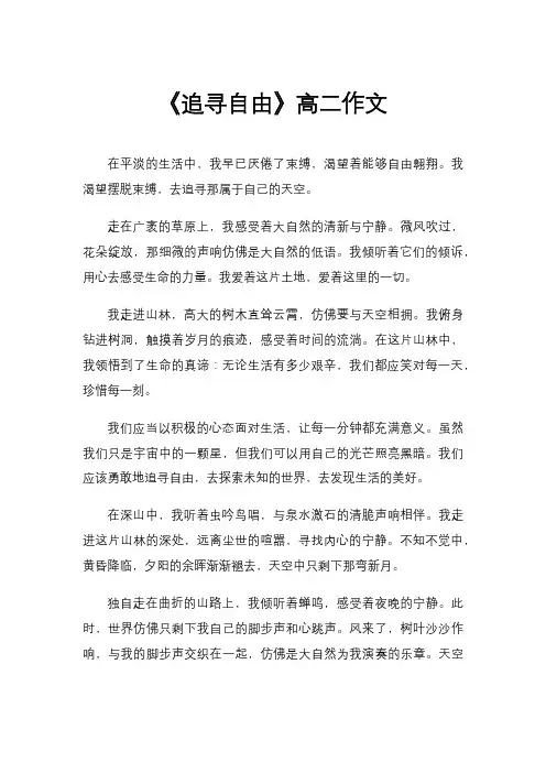 《追寻自由》高二作文