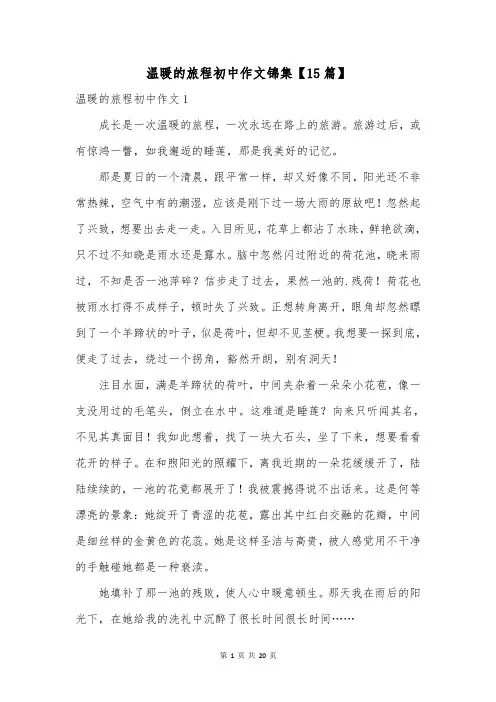 温暖的旅程初中作文锦集【15篇】