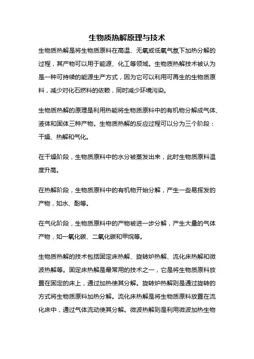 生物质热解原理与技术