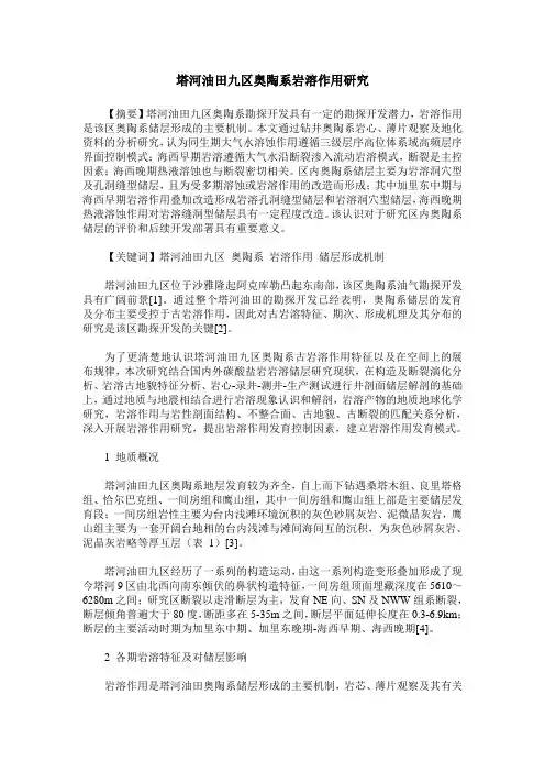 塔河油田九区奥陶系岩溶作用研究