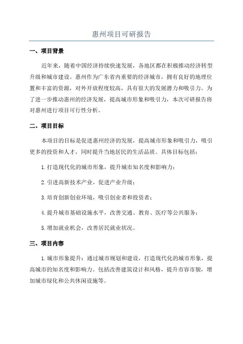 惠州项目可研报告