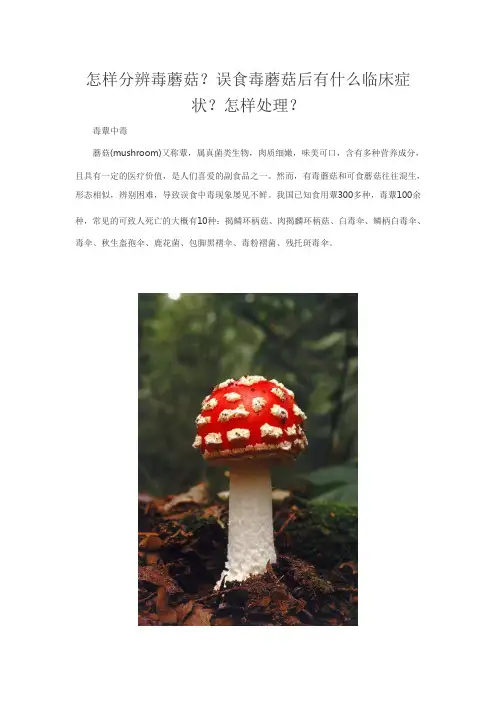 怎样分辨毒蘑菇？误食毒蘑菇后有什么临床症状？怎样处理？