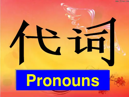 中考代词讲解