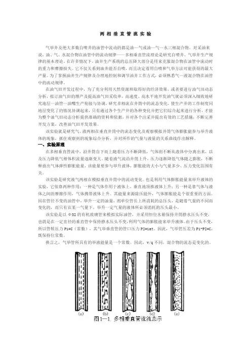1 两相垂直管流实验