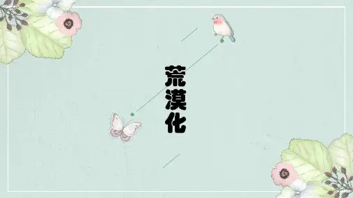 荒漠化讲课PPT