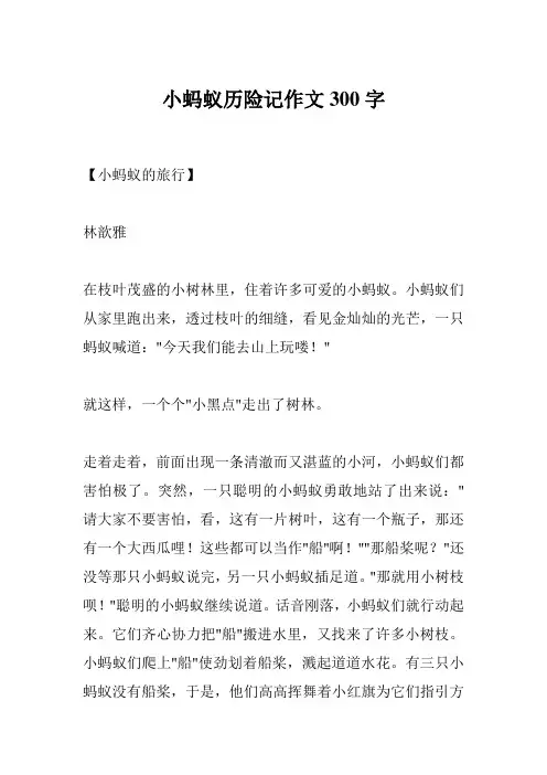 小蚂蚁历险记作文300字