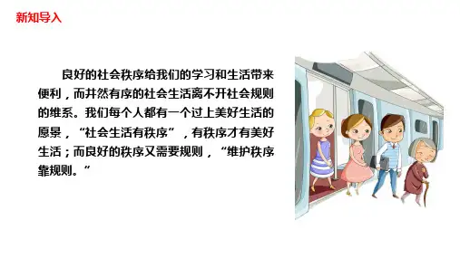 人教版道德与法治八年级上维护秩序课件(共26张PPT)