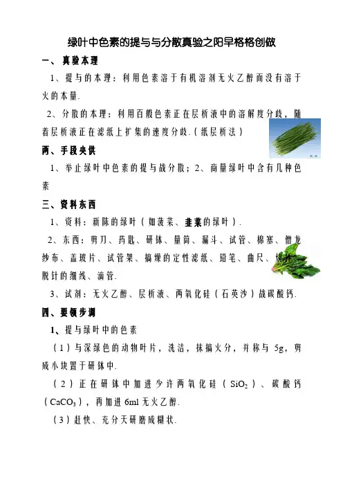 绿叶中色素的提取与分离实验操作过程(图文)