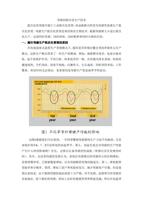 母猪的批次化生产管理技术99