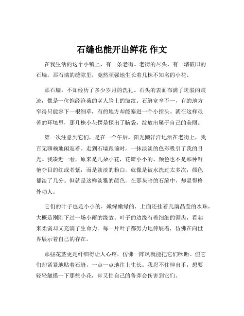 石缝也能开出鲜花 作文
