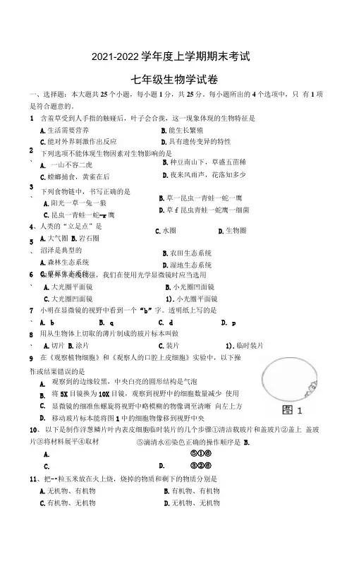 湖北省黄石市四区联考2021-2022学年七年级上学期期末质量检测生物试题(word版 含答案)