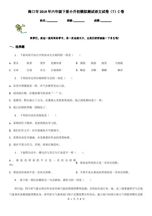 海口市2019年六年级下册小升初模拟测试语文试卷(7)C卷