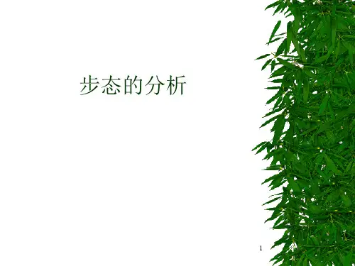 步态的分析PPT课件