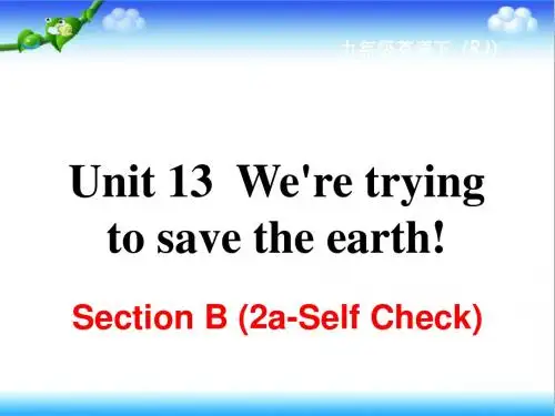 最新人教版新课标英语九年级上册Unit 13 Section B (2a-Self Check)公开课课件