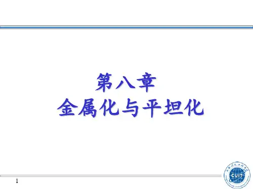 第八章金属化与平坦化