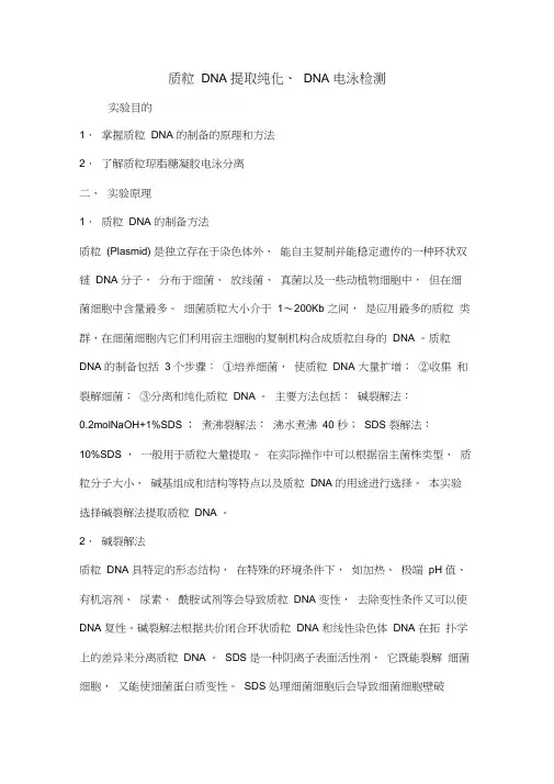 质粒DNA提取及纯化