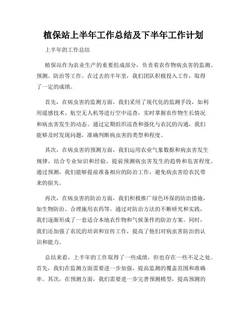 植保站上半年工作总结及下半年工作计划