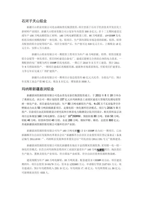 新疆的铝业调研