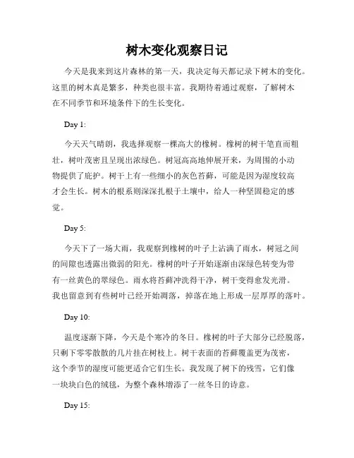 树木变化观察日记