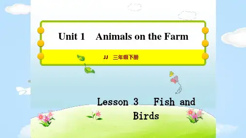 三年级下册英语习题课件   Lesson 3  Fish and Birds   冀教版