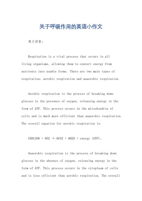 关于呼吸作用的英语小作文