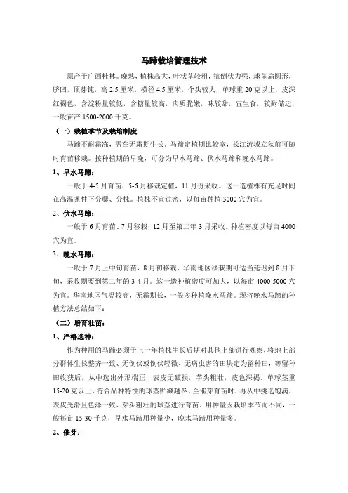马蹄栽培管理技术