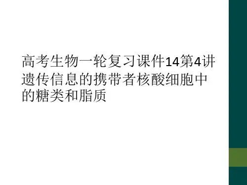 高考生物一轮复习课件14第4讲遗传信息的携带者核酸细胞中的糖类和脂质