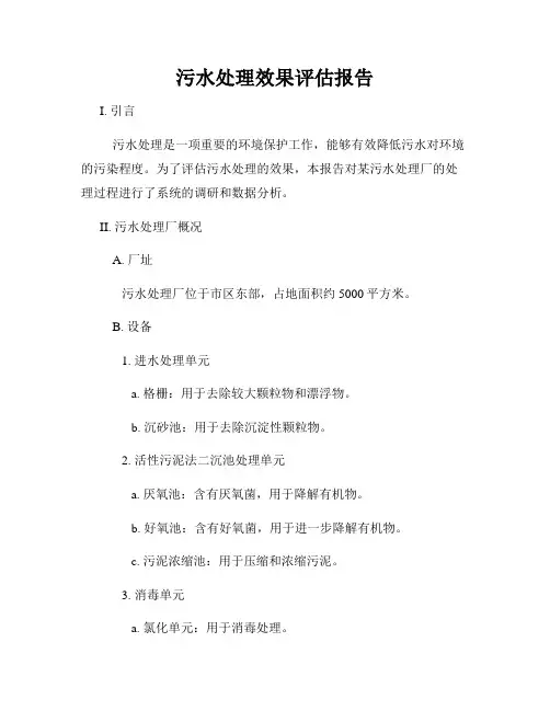 污水处理效果评估报告