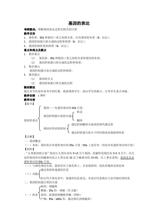 高三生物一轮复习教案：基因的表达