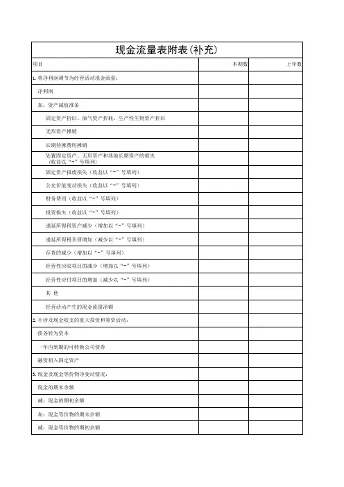 现金流量表附表