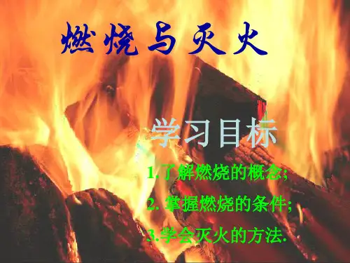 鲁教版九年级化学《燃烧与灭火》课件(50张ppt)