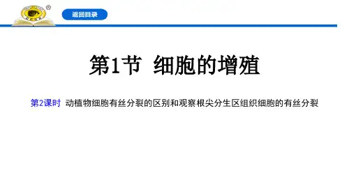 《细胞的增殖》细胞的生命历程教材课件PPT