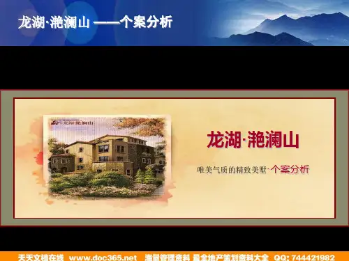 龙湖上海龙湖滟澜山别墅的项目的案例分析40PPT