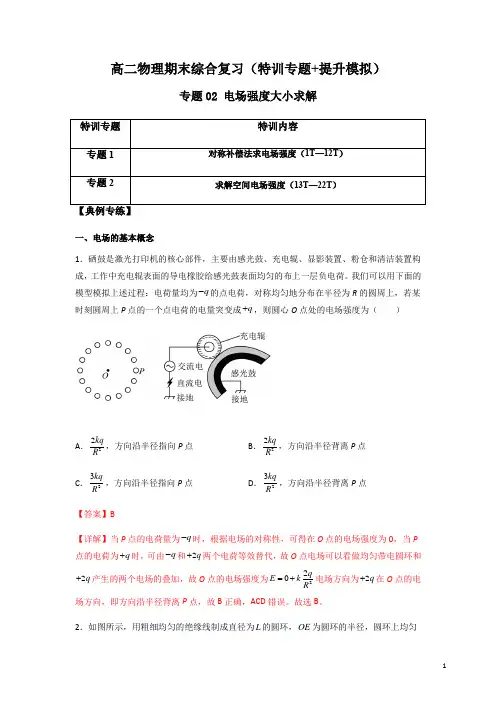 专题02 电场强度大小求解(解析版)