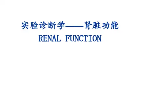 肾脏功能检查PPT课件