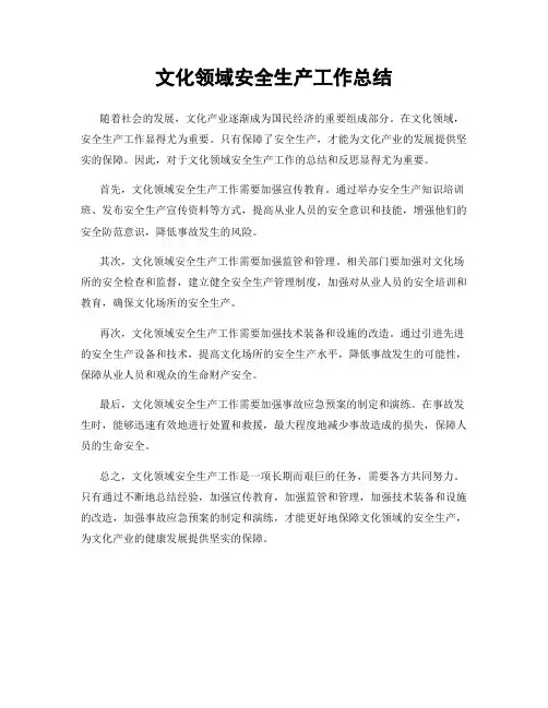 文化领域安全生产工作总结