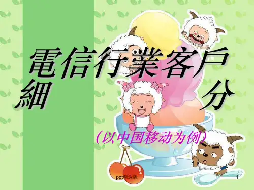 电信行业客户细分PPT课件