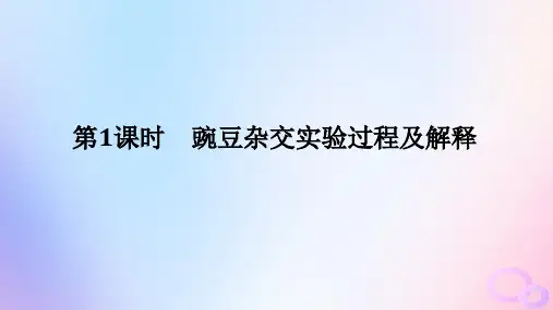 2024版新教材高中生物第1章遗传因子的发现第1节孟德尔的豌豆杂交实验一第1课时豌豆杂交实验过程及解