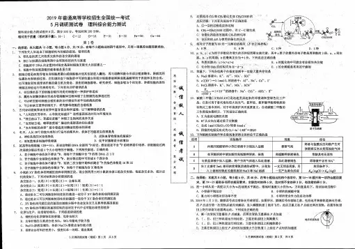 重庆市高2019届5月调研测试(第三次诊断性考试)理综含答案(扫描版)