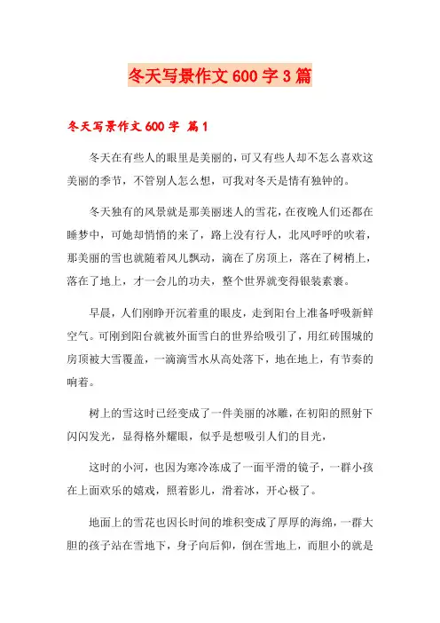 冬天写景作文600字3篇