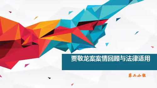 贾敬龙案介绍以及争议解析