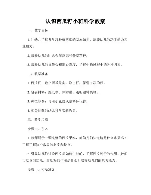 认识西瓜籽小班科学教案