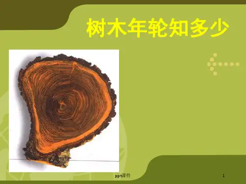 介绍树木年轮  ppt课件