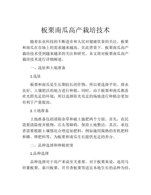 板栗南瓜高产栽培技术